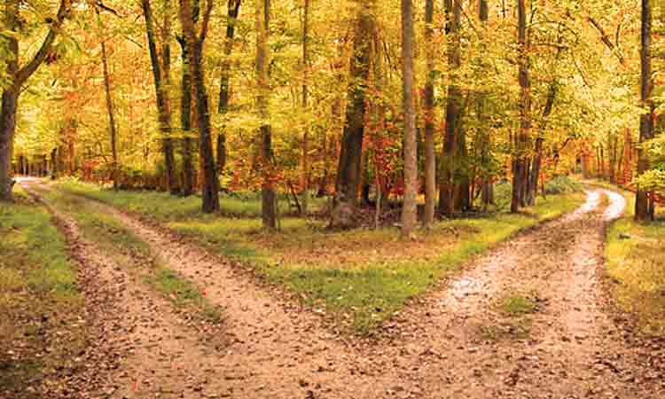 The Road Not Taken